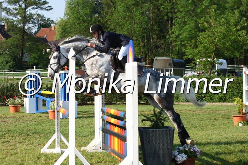 105M3106_Captn Rex_Spring_A.JPG